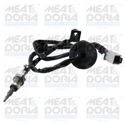 Sensor, exhaust gas temperature